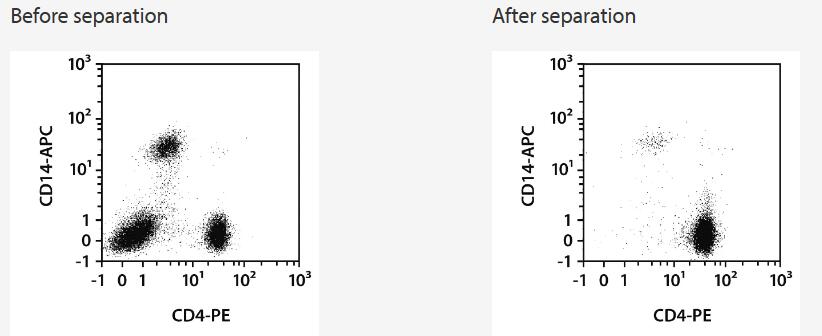 Separation of a whole blood sample using the StraightFrom Whole Blood CD4 MicroBeads and the MultiMACS Cell24 Separator Plus with the Single-Column Adapter and Whole Blood Columns without washing step after labeling. Cells were fluorescently stained with CD4-PE, CD14‑APC, as well as CD45-VioBlue and analyzed by flow cytometry using the MACSQuant Analyzer. Cells were triggered via CD45-VioBlue, cell debris and dead cells were excluded from the analysis based on scatter signals and propidium iodide fluorescence.